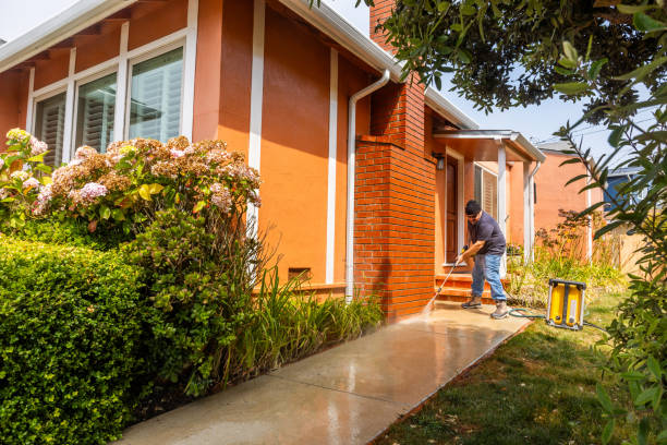 Roof Power Washing Services in Elkton, MD