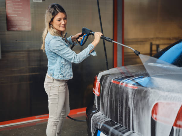 Best Roof Pressure Washing  in Elkton, MD